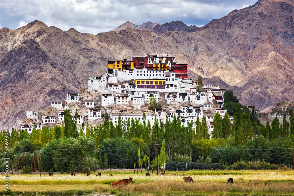 The Ultimate Ladakh